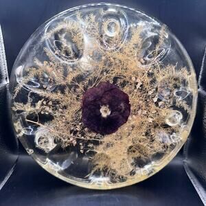 Vintage MCM Lucite Deviled Egg Serving Plate Real Pressed Dried Flower Pansy